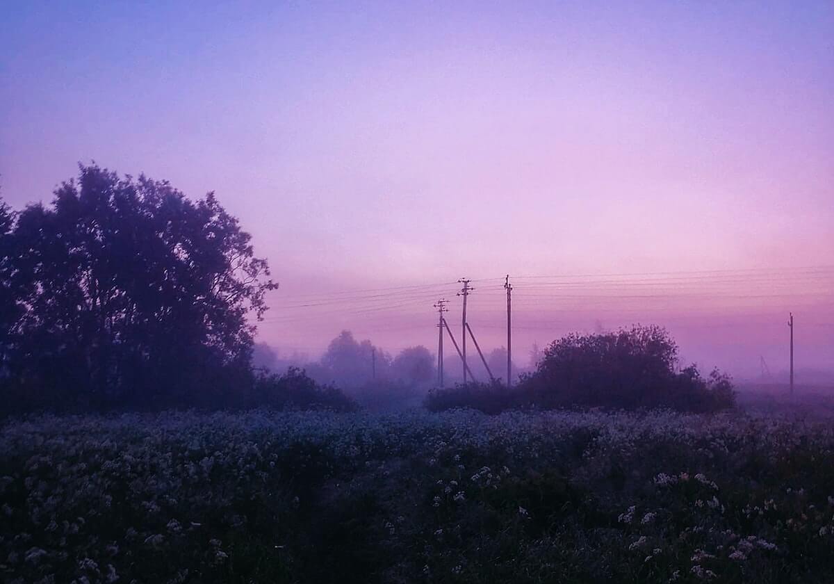 开云官网的美好体验：让连接变成价值
